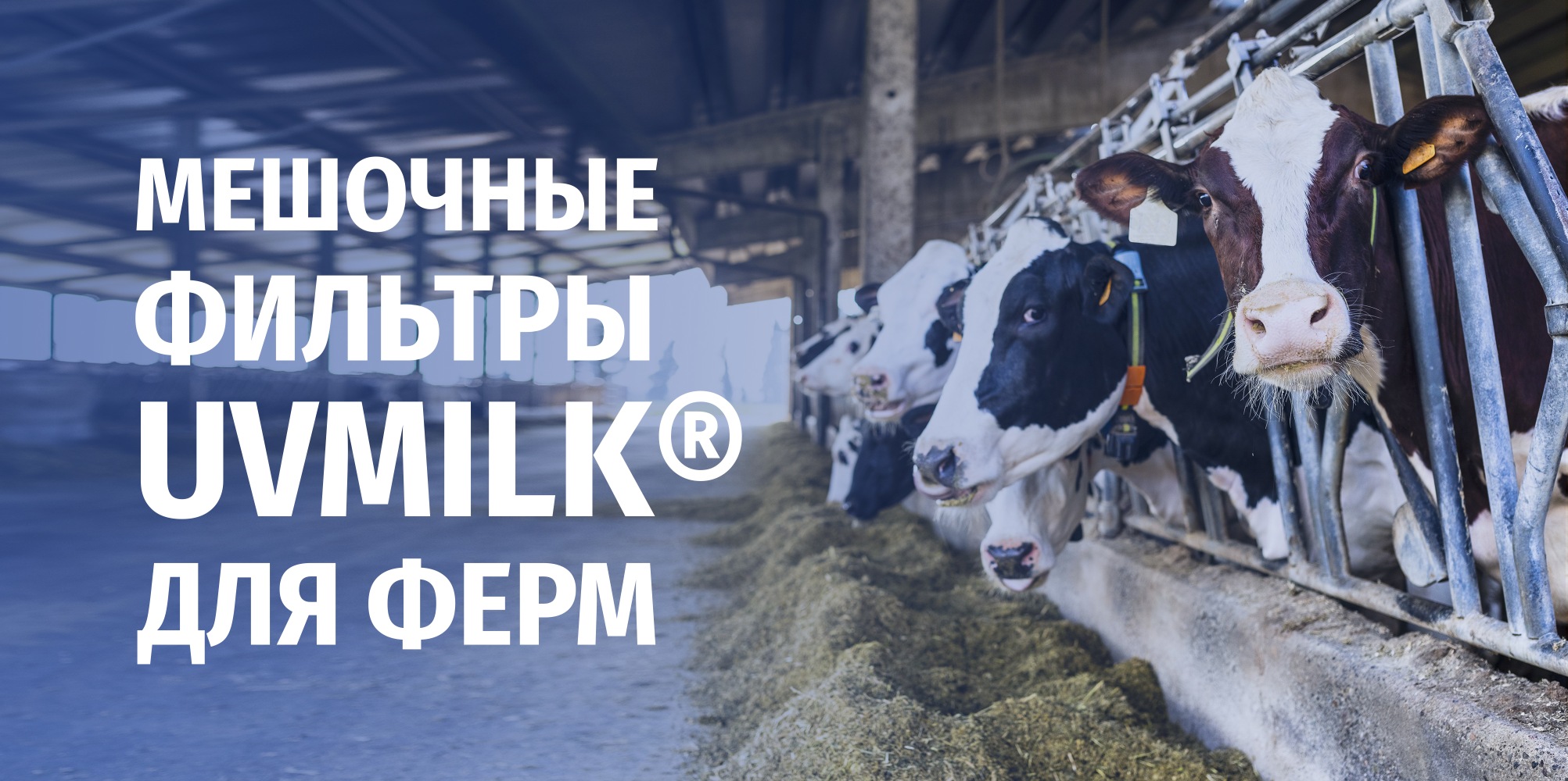 Мешочные фильтры UVMILK® для ферм